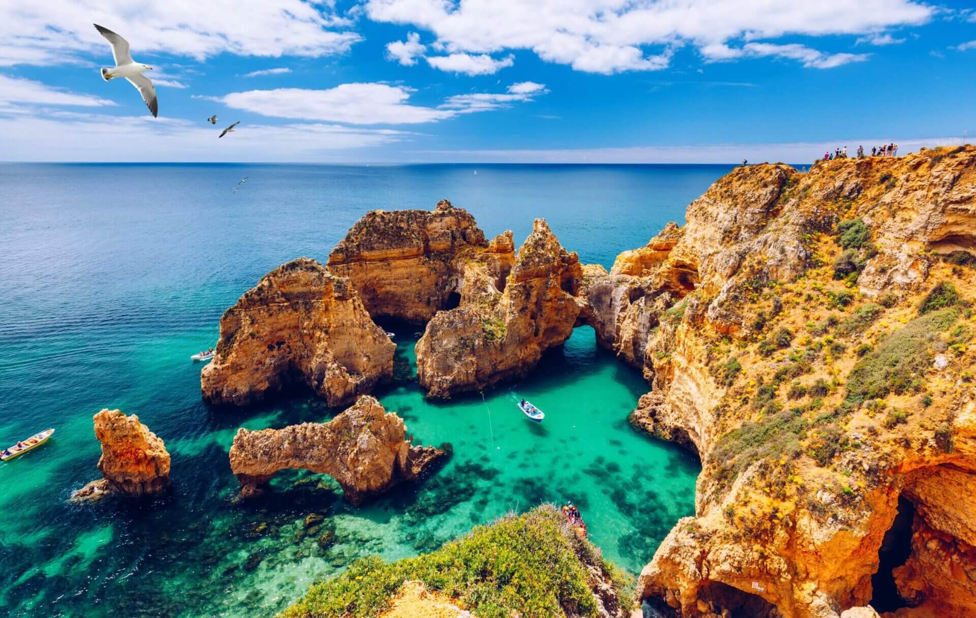 panoramic-view-ponta-da-piedade-with-seagulls-flying-over-rocks-near-lagos-in-algarve-portugal-cliff-rocks-seagulls-and-tourist-boat-on-sea-at-ponta-da-piedade-algarve-region-portugal-stockpack-istock